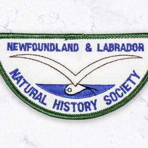 Retro Patch (green and blue)