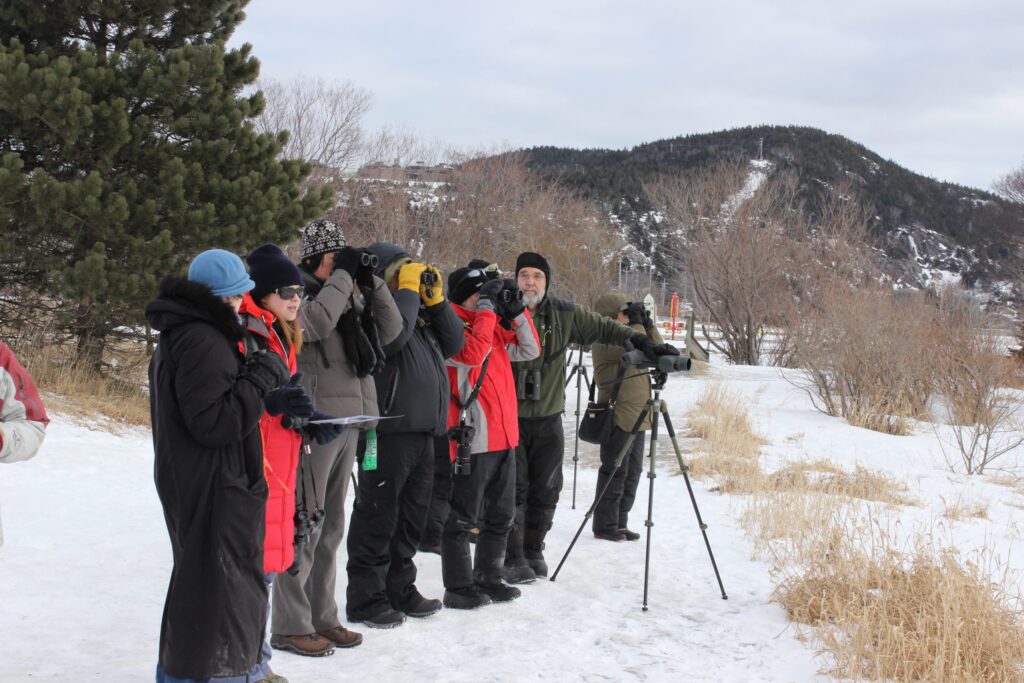 Winter Gull Workshop 2017 – Trip report