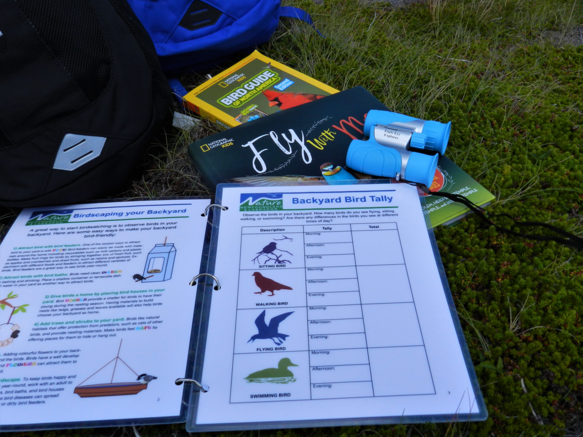 Borrow Your Way into Birdwatching at the Public Library - Nature NL