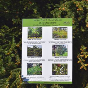 Nature NL’s Native Tree and Shrub Guide
