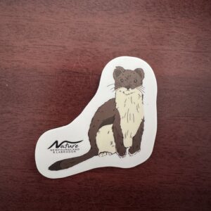 Stoat Sticker