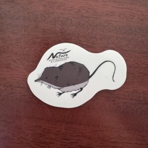 Long-Tailed Shrew Sticker