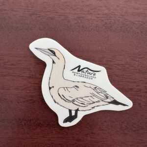 Northern Gannet Sticker