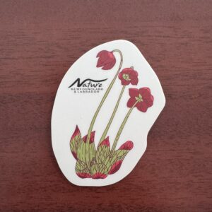 Pitcher Plant Sticker