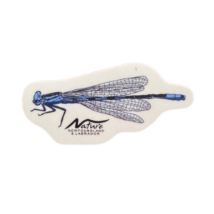 Northern Bluet Sticker