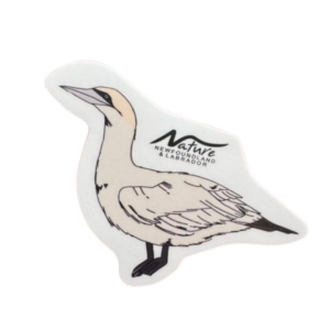 Northern Gannet Sticker