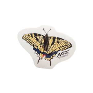 Swallowtail Sticker