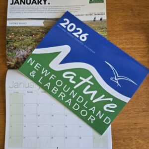 Nature NL 2026-2027 Wetland Themed Calendar