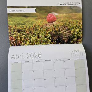 Nature NL 2026-2027 Wetland Themed Calendar