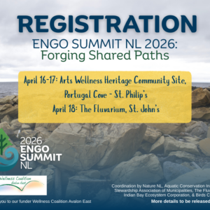 2026 ENGO Summit NL Registration