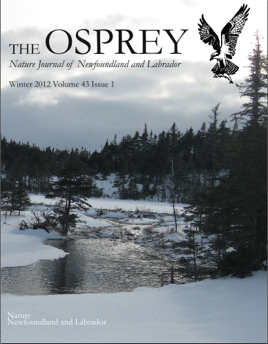 New Issue of The Osprey New Issue of The Osprey