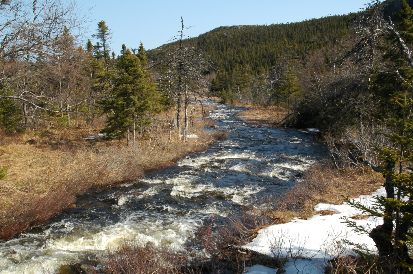 Will Newfoundland and Labrador declare more protected areas in 2018? Will Newfoundland and Labrador declare more protected areas in 2018?