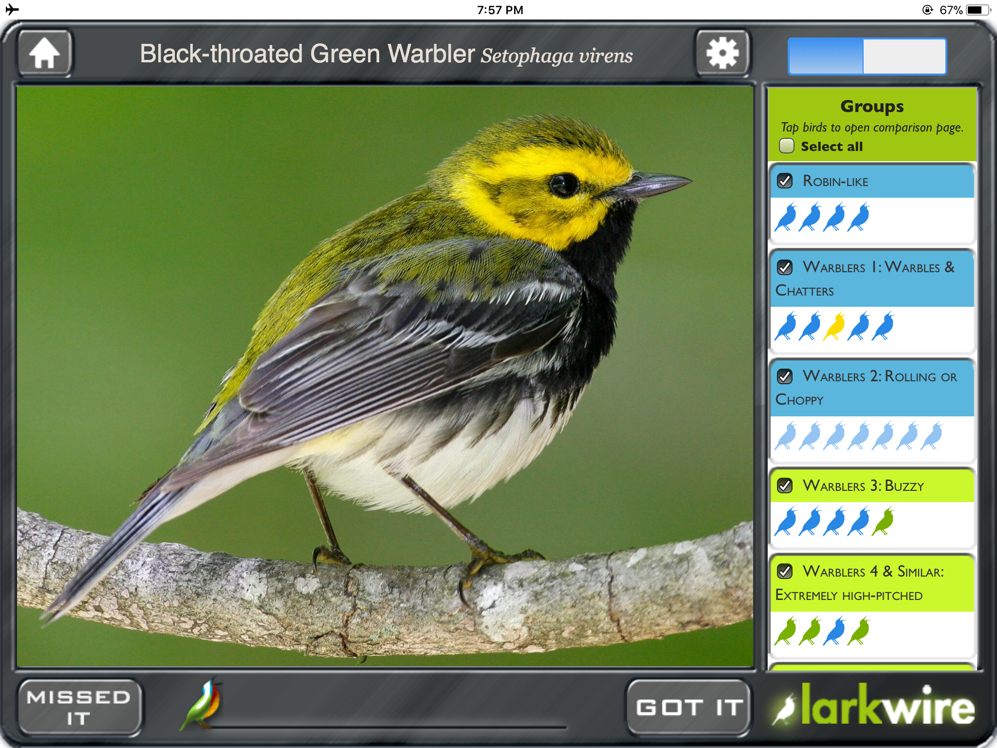 An Easier Way To Learn The Language Of Birds An Easier Way To Learn The Language Of Birds