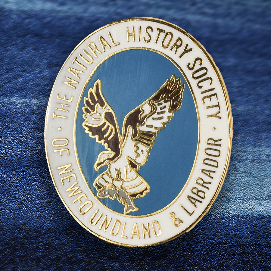 Retro pin with osprey logo