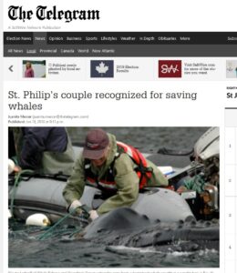 Read more about the article Nature NL’s conservation award goes to whale rescue organization