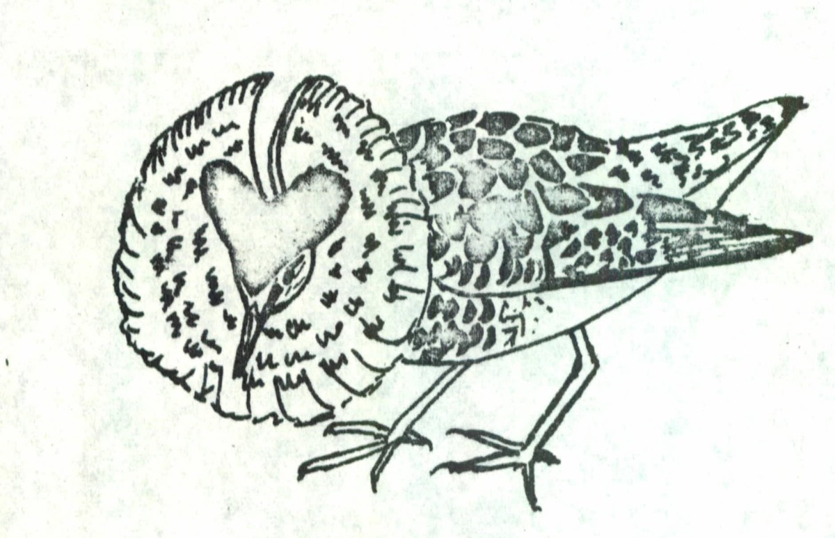 #TBT – The Osprey, vol. 01, no. 01 (May 1970) #TBT – The Osprey, vol. 01, no. 01 (May 1970)