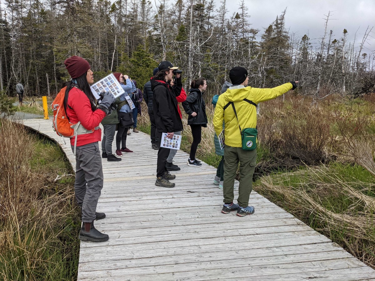 Read more about the article Youth Birdwatching Walk with WILD Outside
