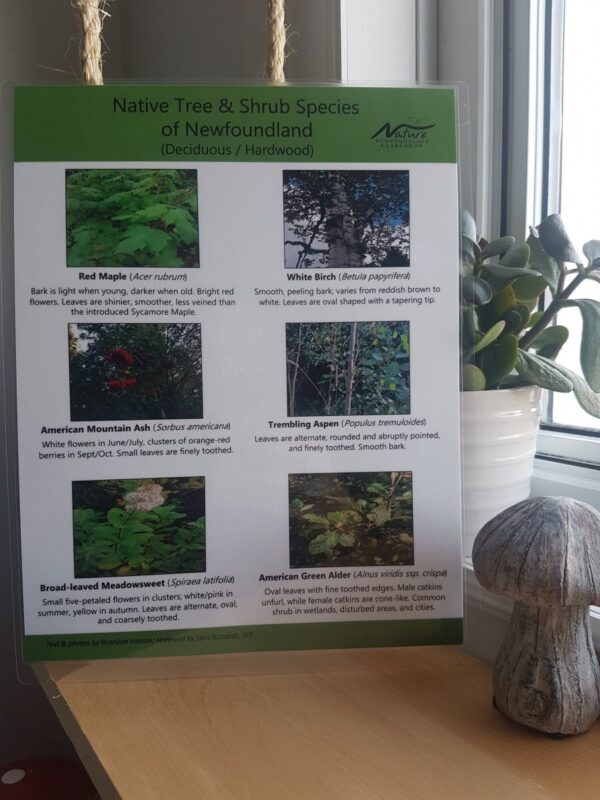 Nature NL’s Native Tree and Shrub Guide